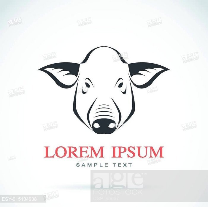 701x700 Vector Image Of An Pig Head, Stock Vector, Vector And Low Budget