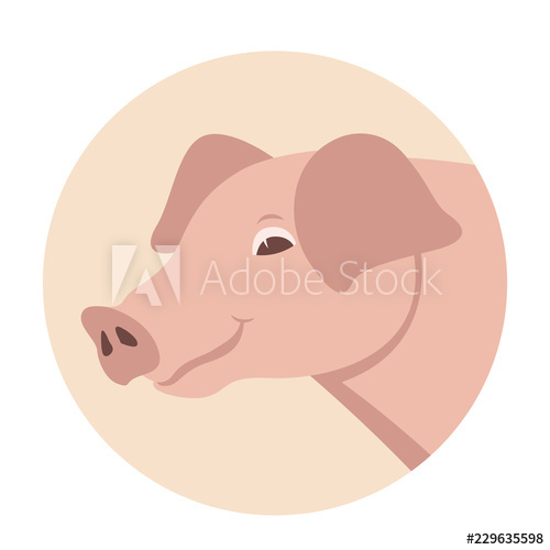 500x500 Pig Head Vector Illustration Flat Style Front