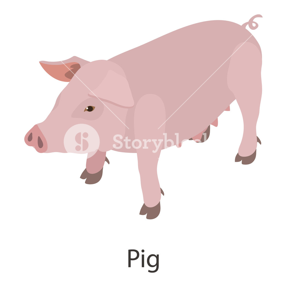 1000x1000 Pig Icon Isometric Illustration Of Pig Vector Icon For Web