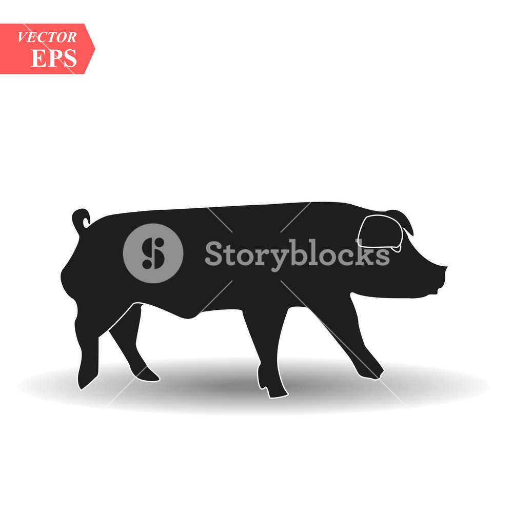 1000x1000 Pig Icon Pork Icon Pig Vector Illustration Royalty Free