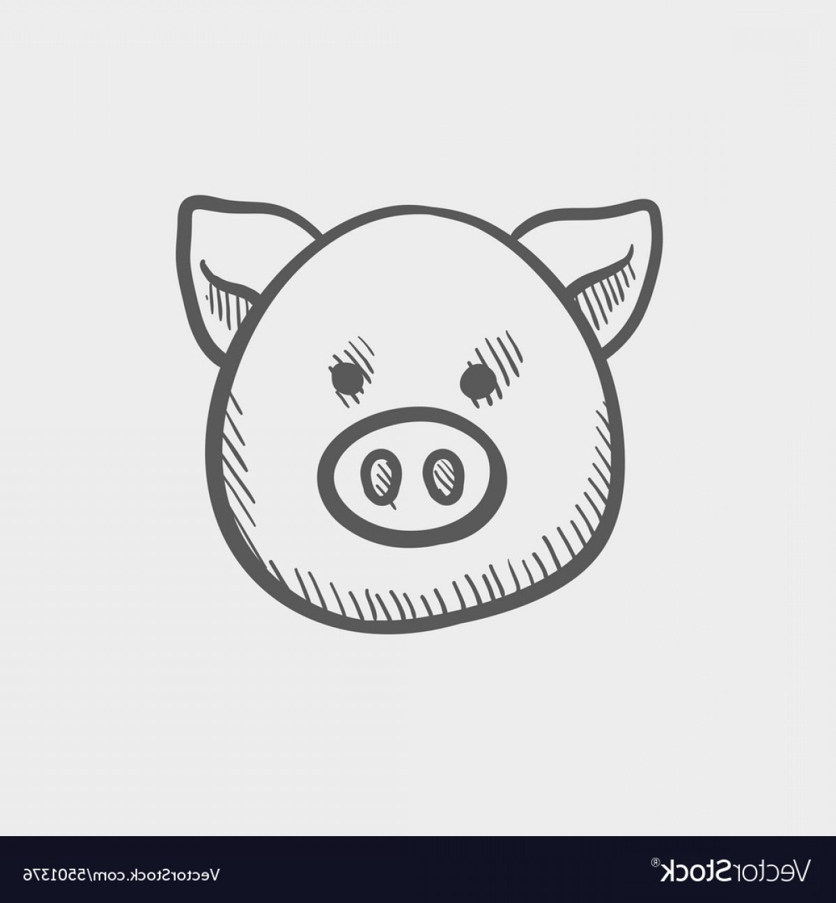 1200x1296 Pig Face Outline Vector Catchsplace