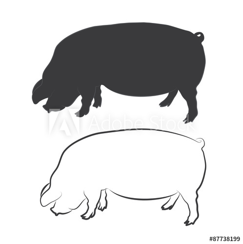 Pig, Swine Silhouette And Outline Vector 498x500 Pig, Swine Silhouette And Outline Vector