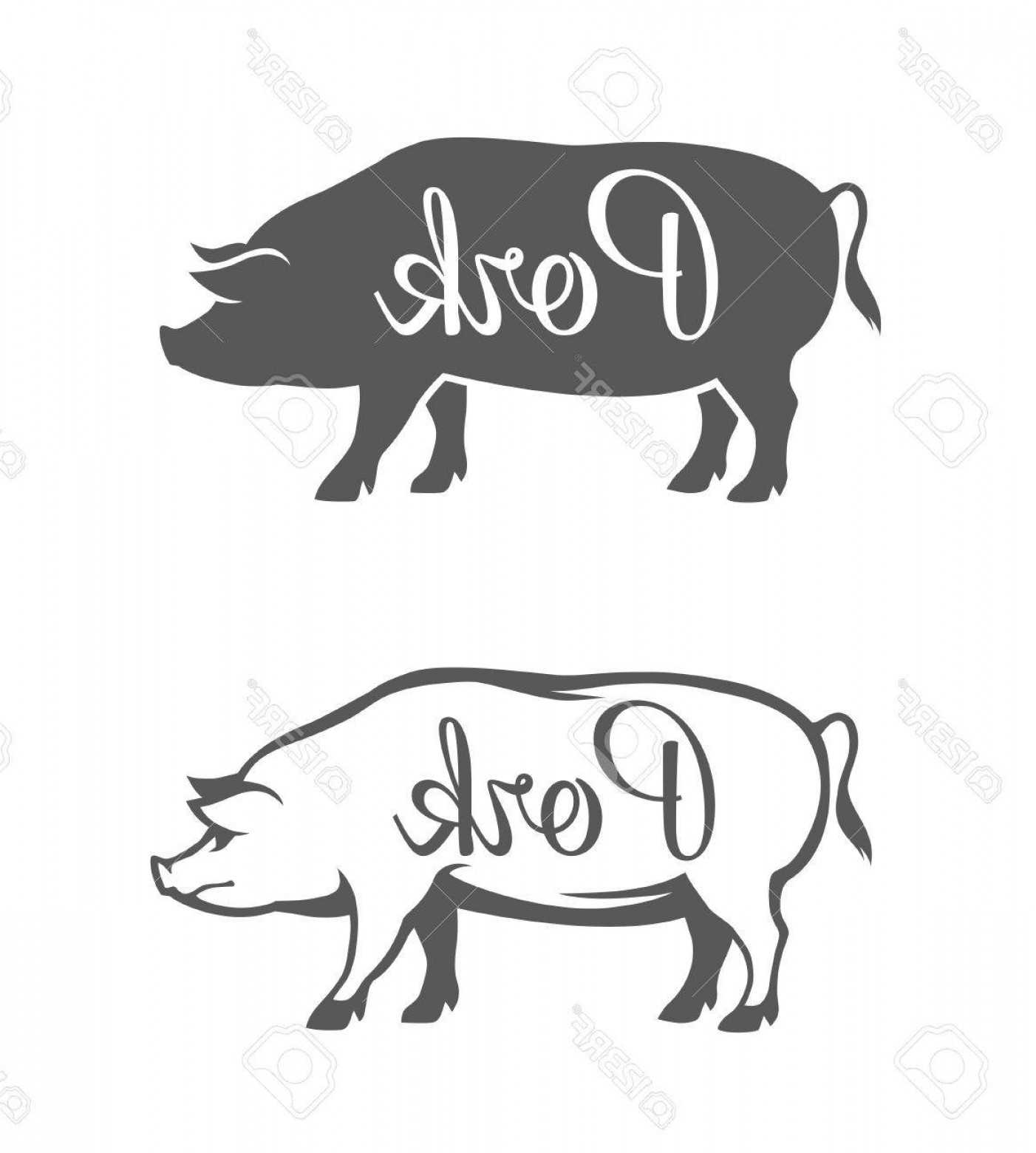 Photostock Vector Black Pig Silhouette And Outline Illustration 1402x1560 Photostock Vector Black Pig Silhouette And Outline Illustration