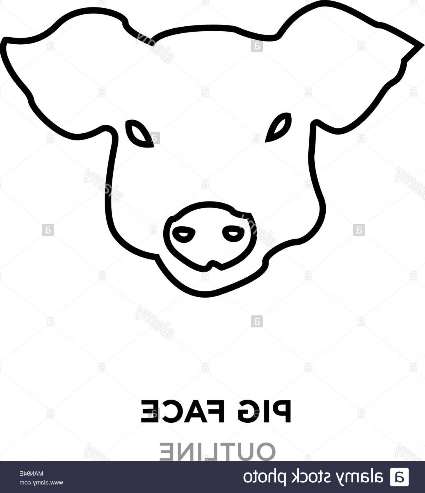Pig Face Outline On White Background Vector Illustration Image 1437x1668 Pig Face Outline On White Background Vector Illustration Image