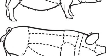 Pig Outline Vector Archives 367x195 Pig Outline Vector Archives