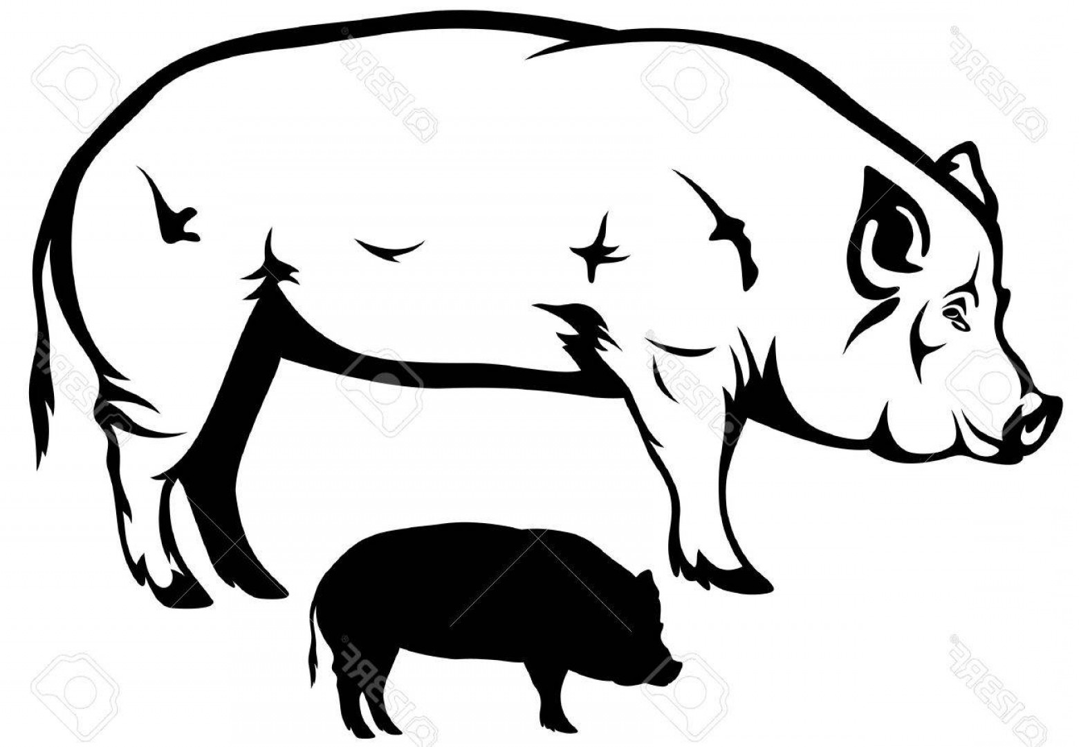 Download Pig Outline Vector at Vectorified.com | Collection of Pig ...