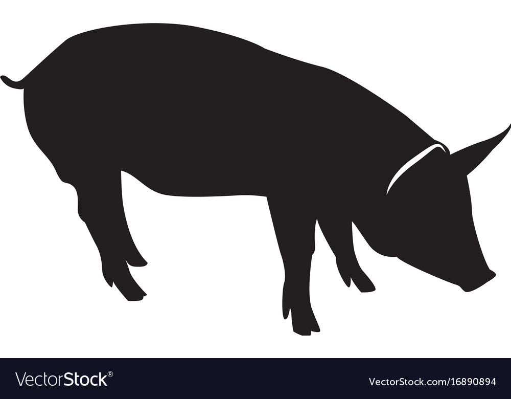 Collection Of 'hog Silhouette' Download More Than Images 1000x780 Collection Of 'hog Silhouette' Download More Than Images