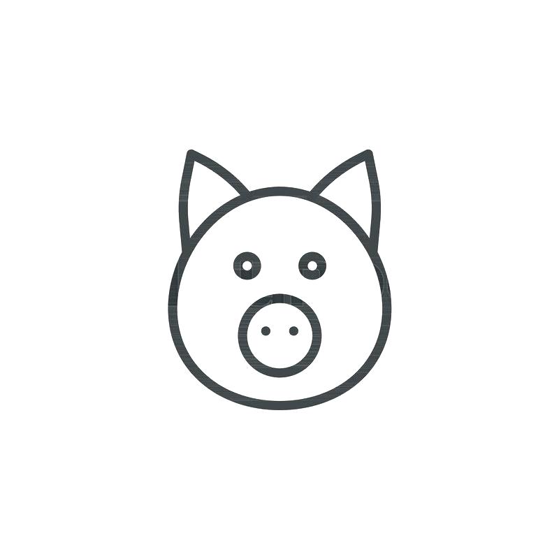Outline Of A Pig 800x800 Outline Of A Pig