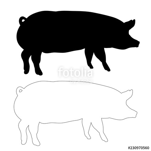 Silhouette Of A Pig, Outlines Of A Pig Stock Image And Royalty 499x500 Silhouette Of A Pig, Outlines Of A Pig Stock Image And Royalty