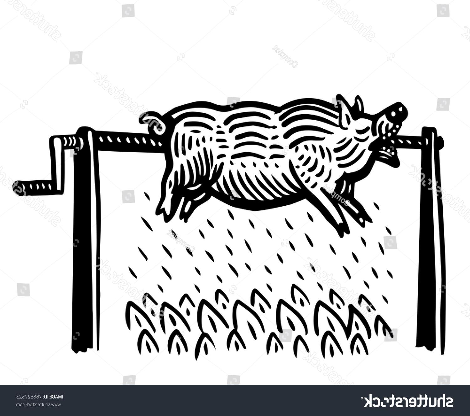 1500x1329 Hd Stock Vector Pig Roasting On The Spit Pictures