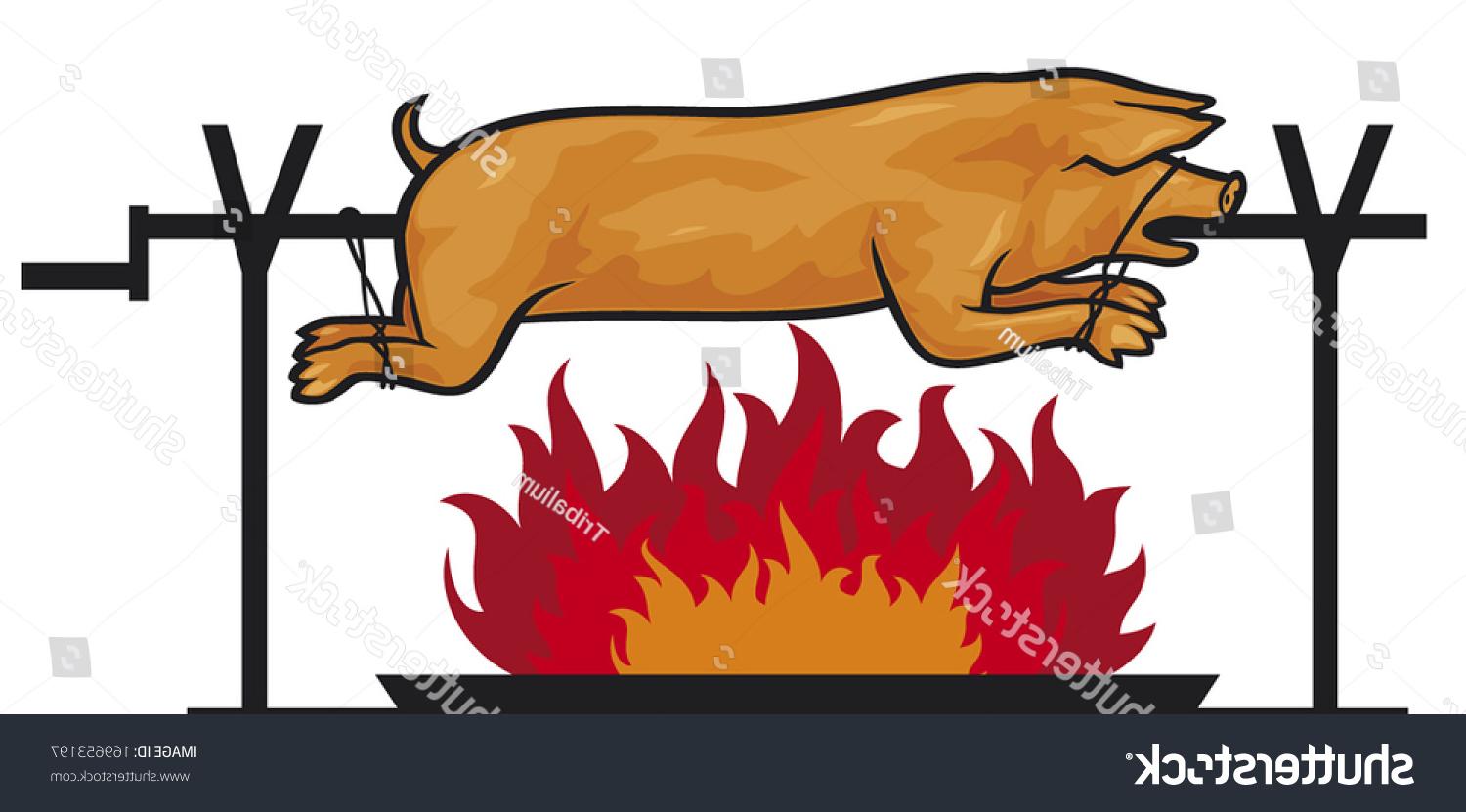 1500x831 Best Hd Stock Vector Roasted Pig On Spit Photos