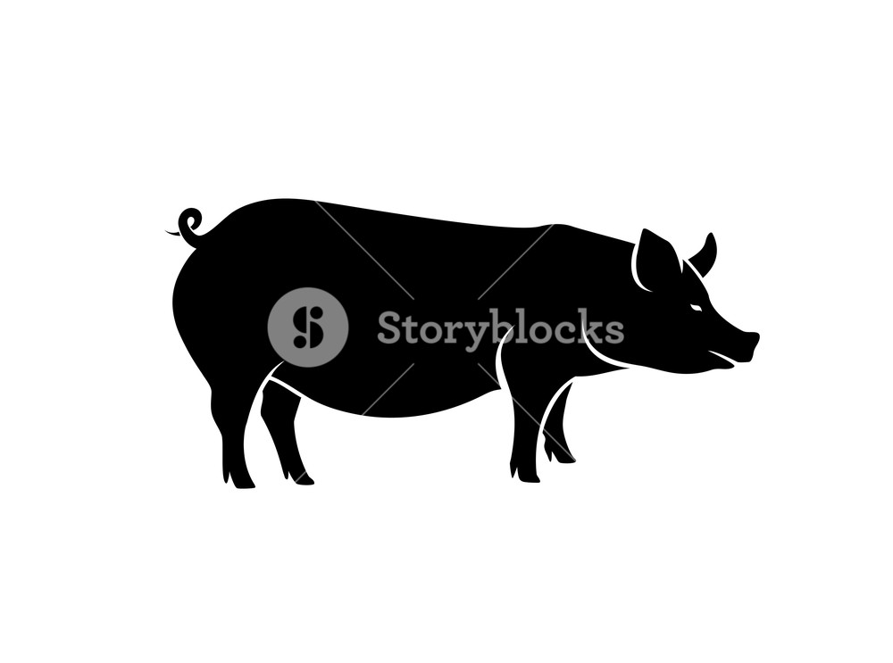 1000x743 Pig Silhouette Vector Royalty Free Stock Image