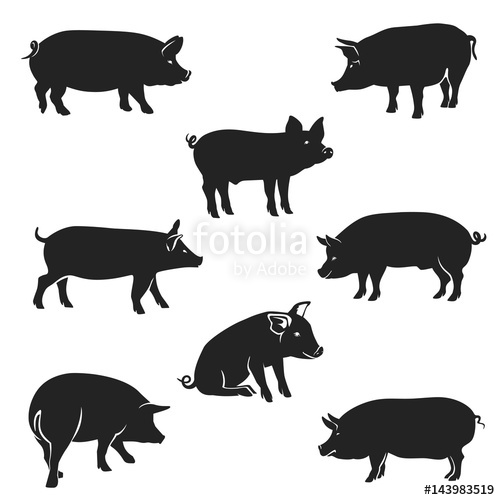 500x500 Pigs Black Pork Icon Vector Image, Pig Silhouette, In Curl Tail