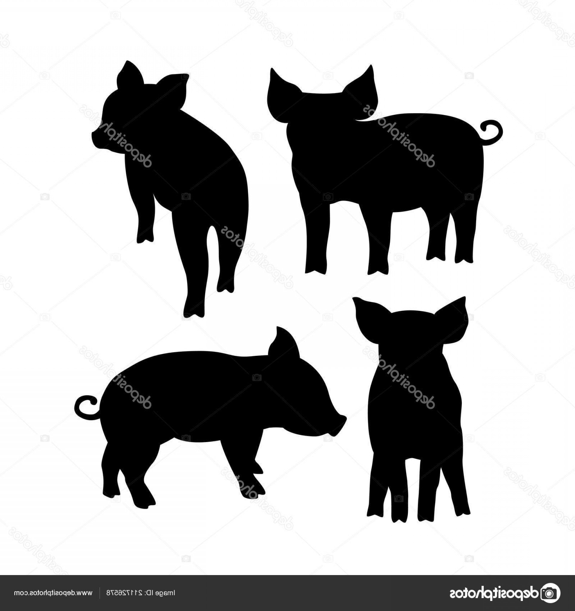 1920x2040 Stock Illustration Black Pig Silhouette Vector Illustration Soidergi
