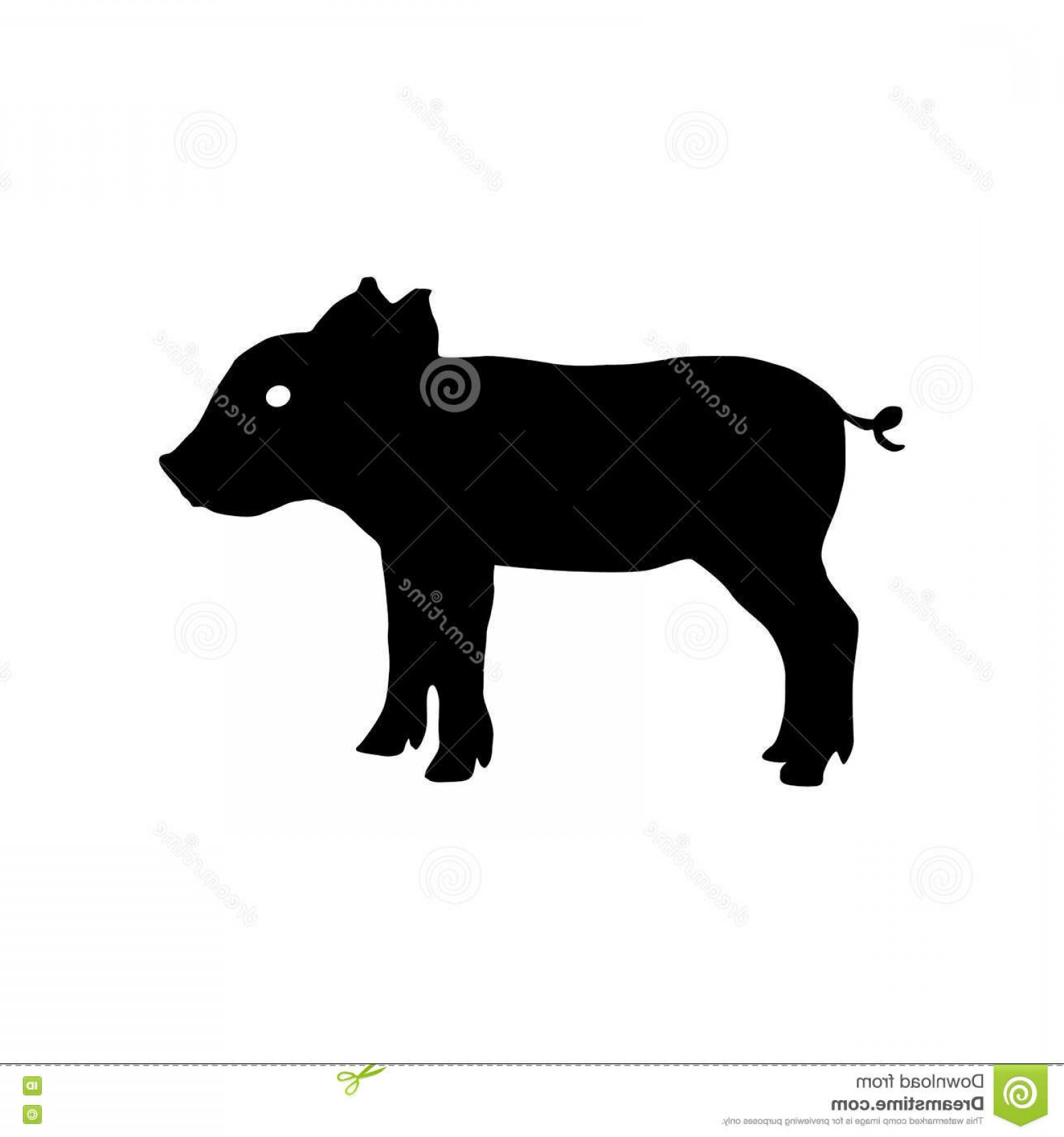 1560x1668 Stock Illustration Pig Silhouette Vector Illustration Detailed