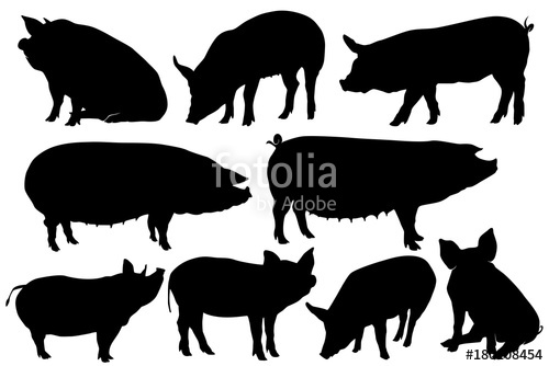 500x334 Pig Pork Hog Silhouette Sets Stock Image And Royalty Free Vector
