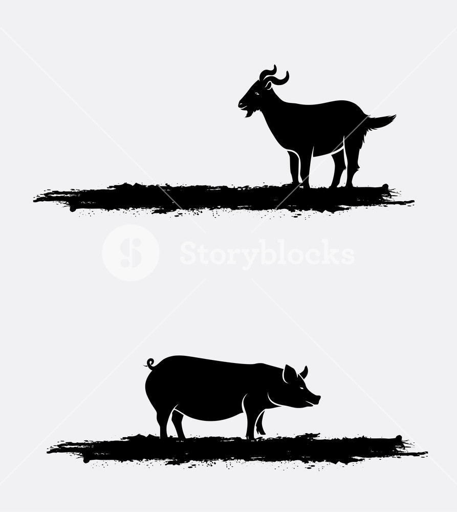 893x1000 Goat And Pig Silhouettes Vector Royalty Free Stock Image