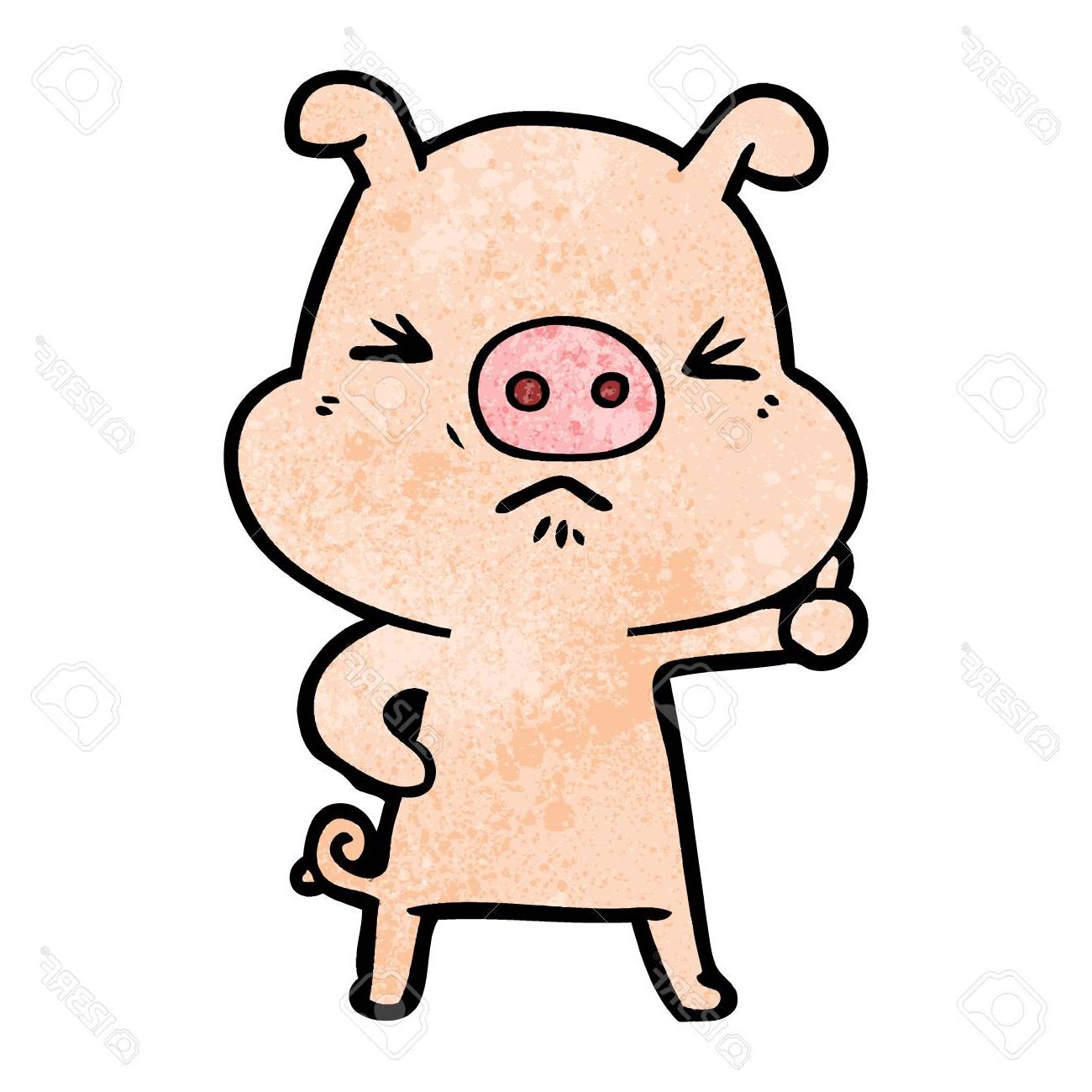 1300x1300 Hd Angry Pig Vector Drawing Free Vector Art, Images, Graphics