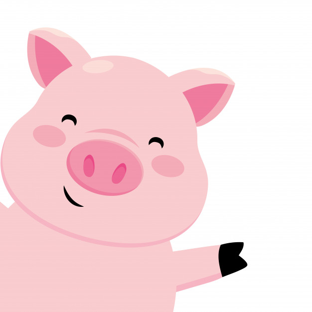 626x626 Pig Vectors, Photos And Free Download