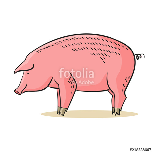 500x500 Pig Vector Isolatad On White Background Cartoon Piggu