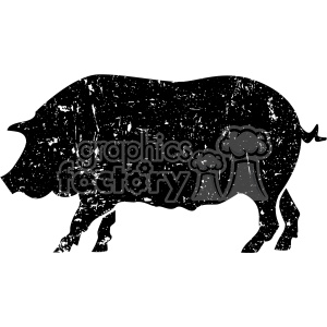 300x300 Distressed Pig Vector Art Clipart Royalty Free Gif, Png