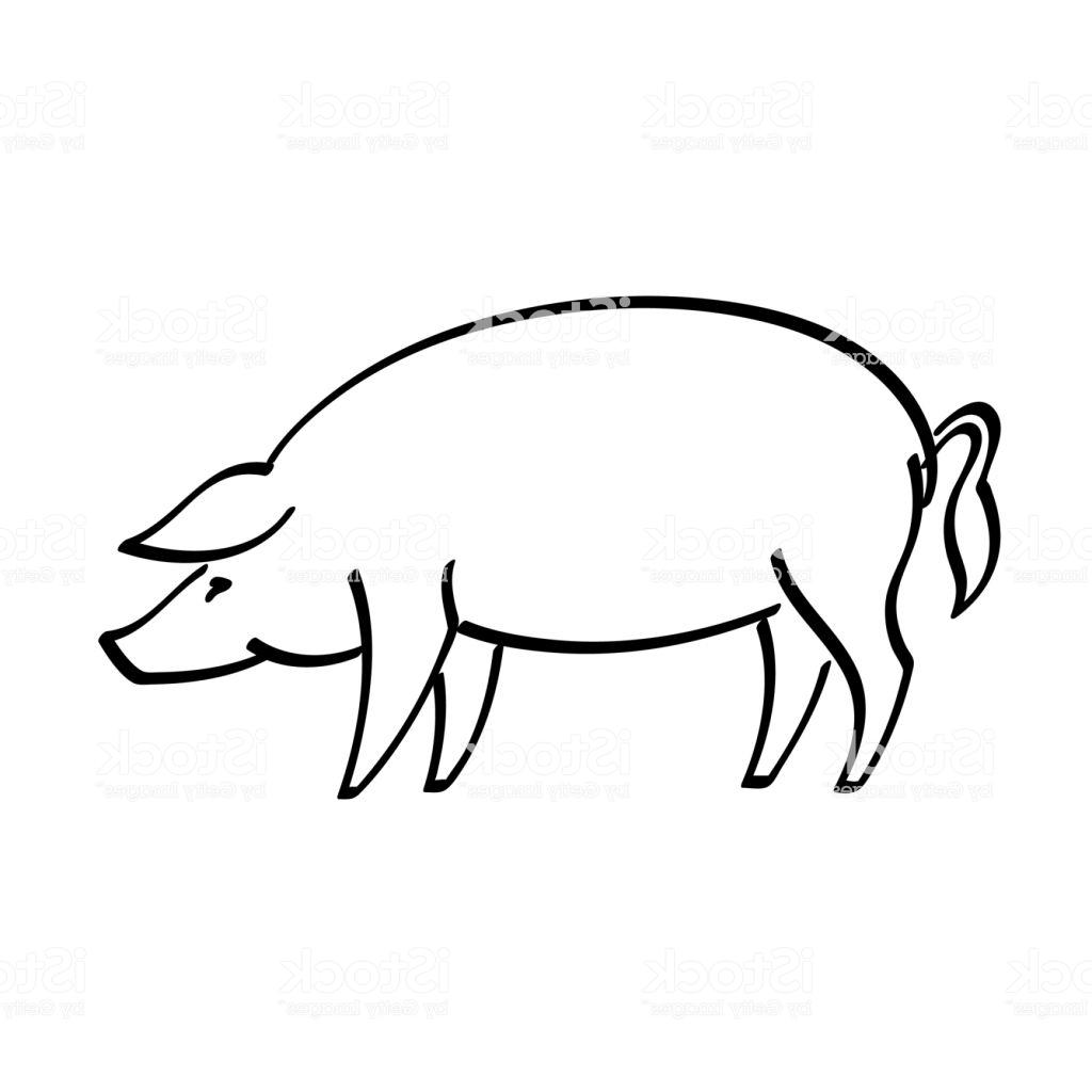 1024x1024 Hd Show Pig Vector Art Library Free Vector Art, Images, Graphics