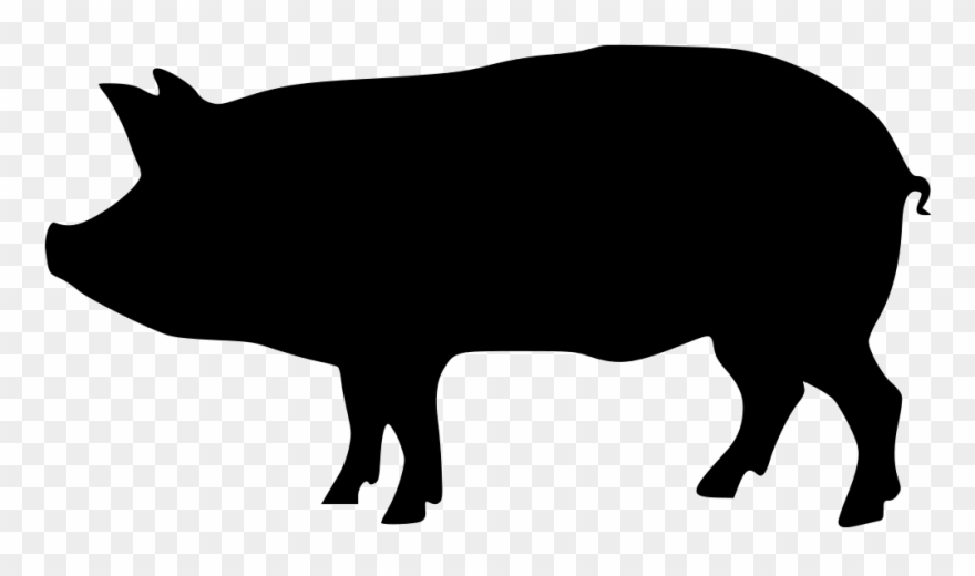 880x520 Image Royalty Free Huge Freebie Download