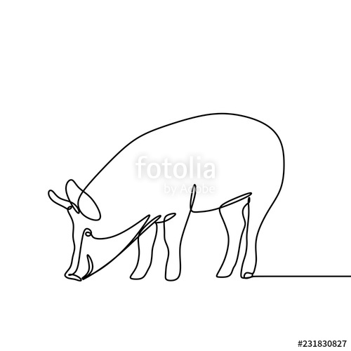 500x500 One Line Drawing Of Pig Vector Minimal Lineart Stock Image