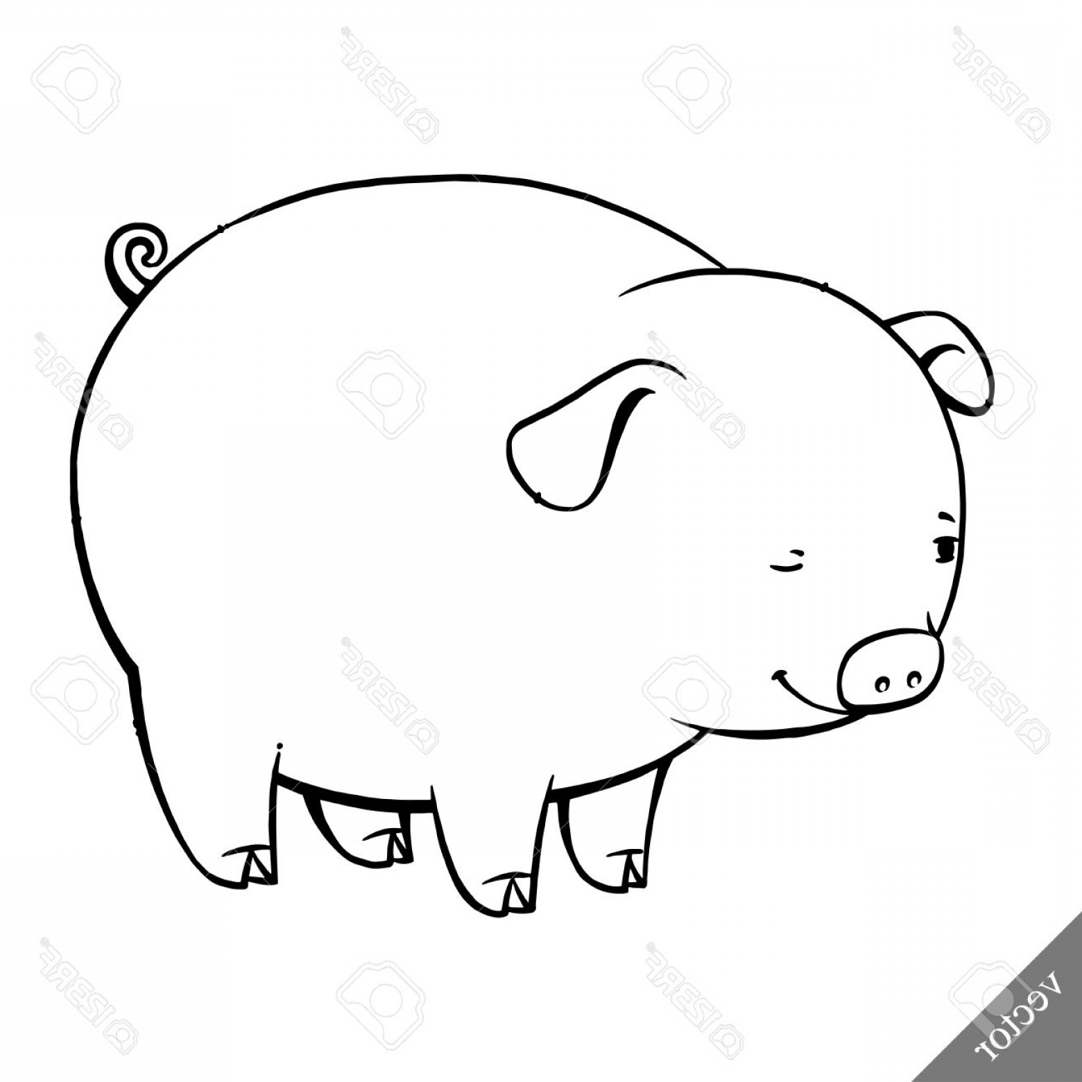 1560x1560 Photostock Vector Funny Cartoon Cute Cool Fat Pig Vector