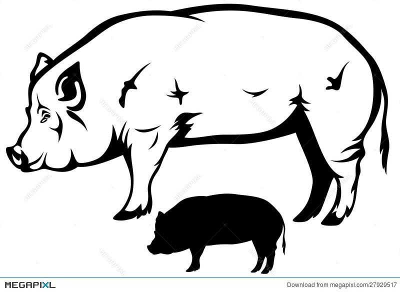 pig vector free download illustrator