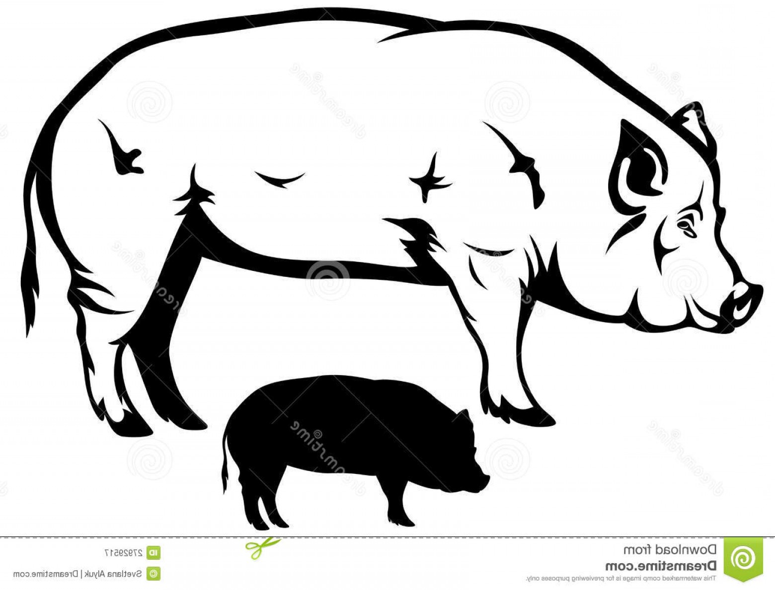 1560x1189 Royalty Free Stock Photography Pig Vector Image Studiogrfx