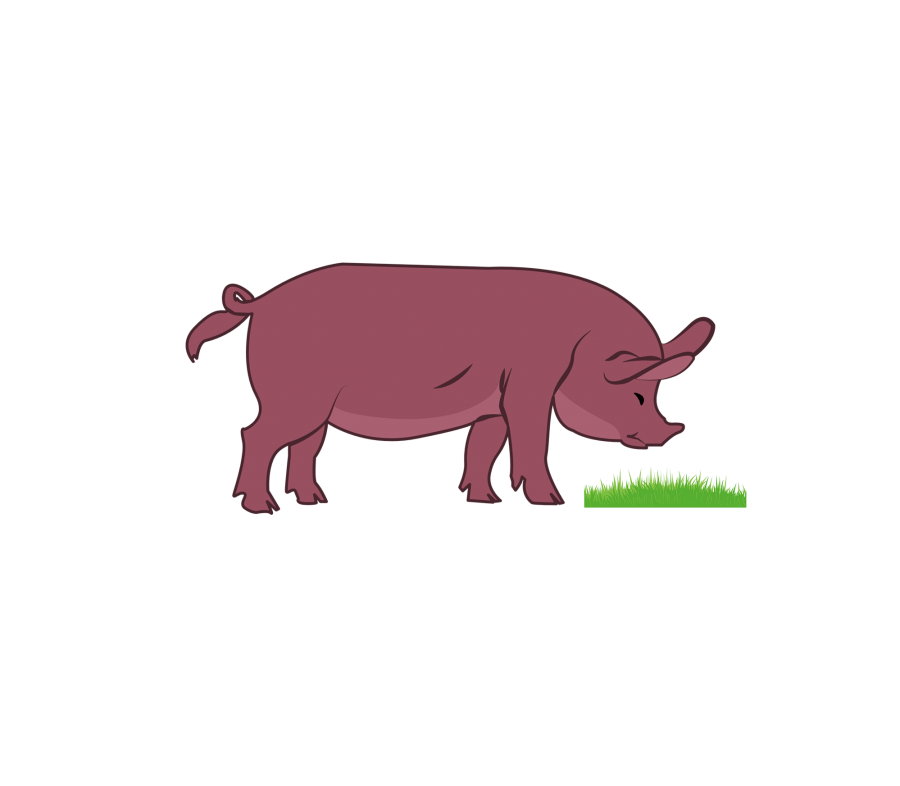 900x786 Clipart Pig Vector For Free Download And Use Images