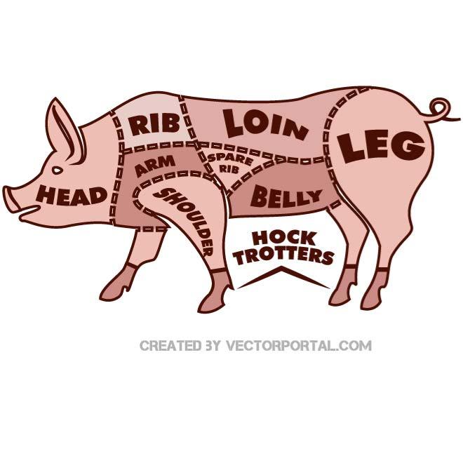 Pig Vector Image