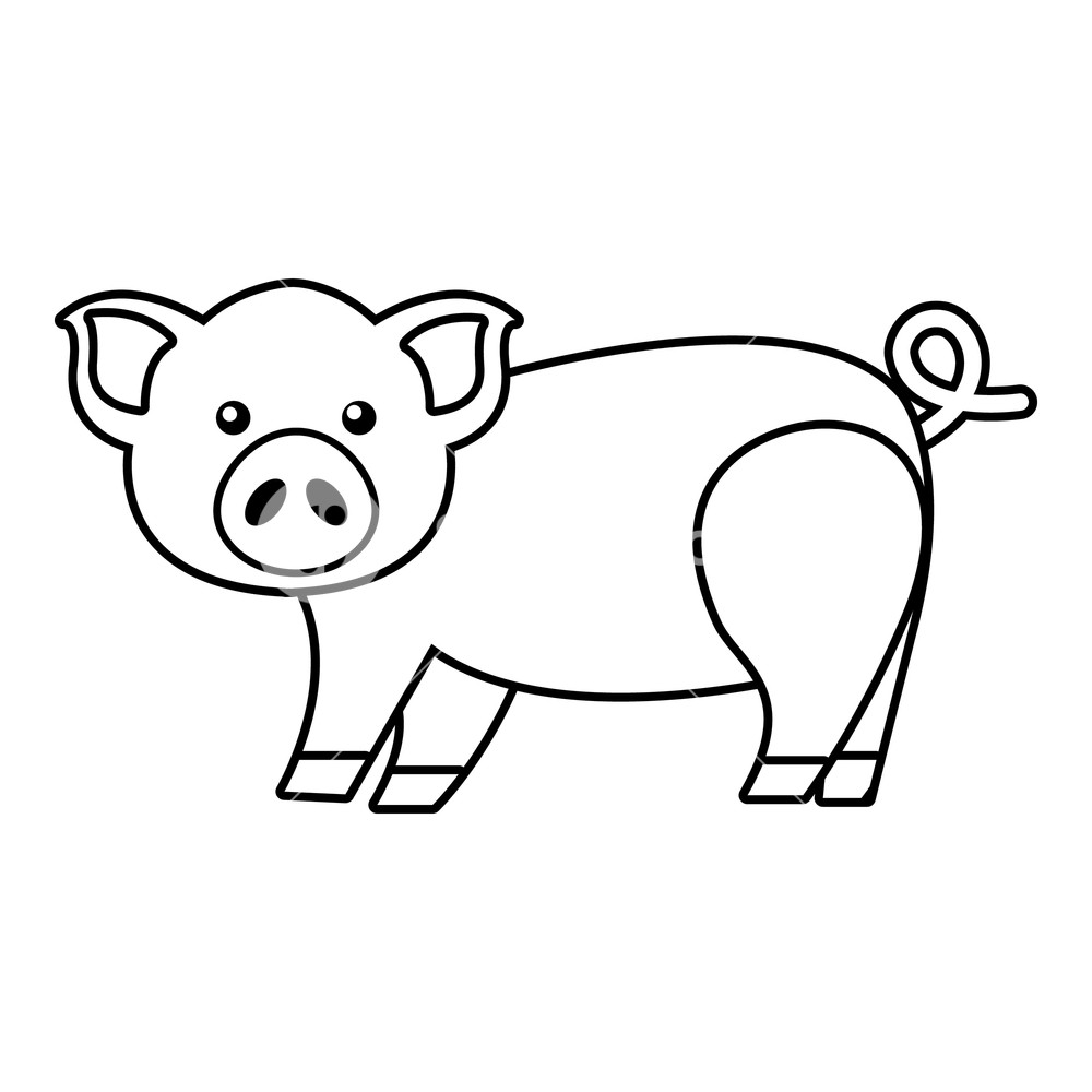 1000x1000 Cute Pig Icon Outline Illustration Of Cute Pig Vector Icon