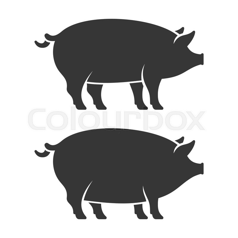 800x800 Pig Icon Set Two Fat Pork Vector Stock Vector Colourbox