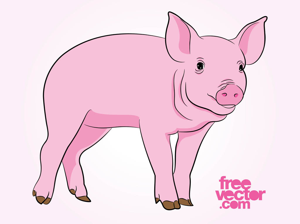 1024x765 Pig Vector Vector Art Graphics