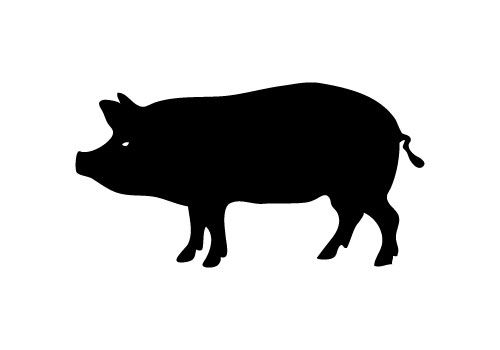 500x350 Free Pig Silhouette Vector Printables Svg's Silhouette