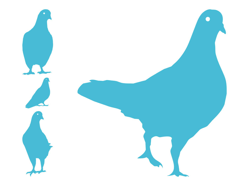 1024x765 Pigeon Silhouettes Vector Art Graphics