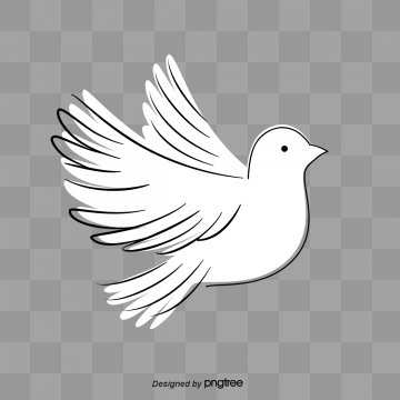 360x360 Pigeon Vector, Free Download Pigeons, Pigeons Flying