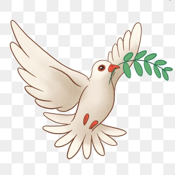 360x360 Pigeon Vector Png, Vector, And Clipart With Transparent