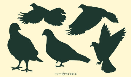 442x260 Pigeon Vector Graphics To Download