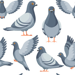240x240 Pigeon Vector Photos, Royalty Free Images, Graphics, Vectors