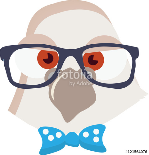 480x500 Pigeon Vector Young Bird With Glasses And Bow Tie Illustration