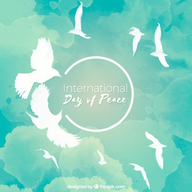 626x626 Pigeon Vectors, Photos And Free Download