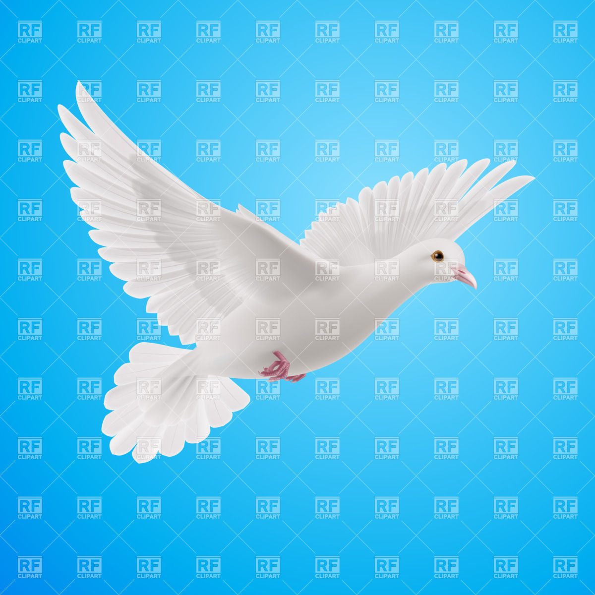 1200x1200 Realistic White Pigeon Vector Image Of Plants And Animals Dvarg
