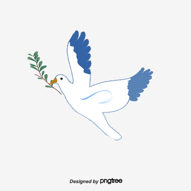 640x640 White Pigeon Png, Vector, And Clipart With Transparent