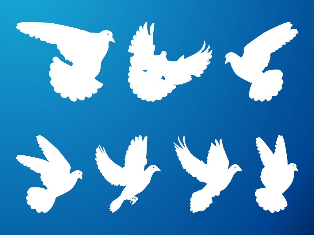 1024x765 Flying Pigeons Set Vector Art Graphics