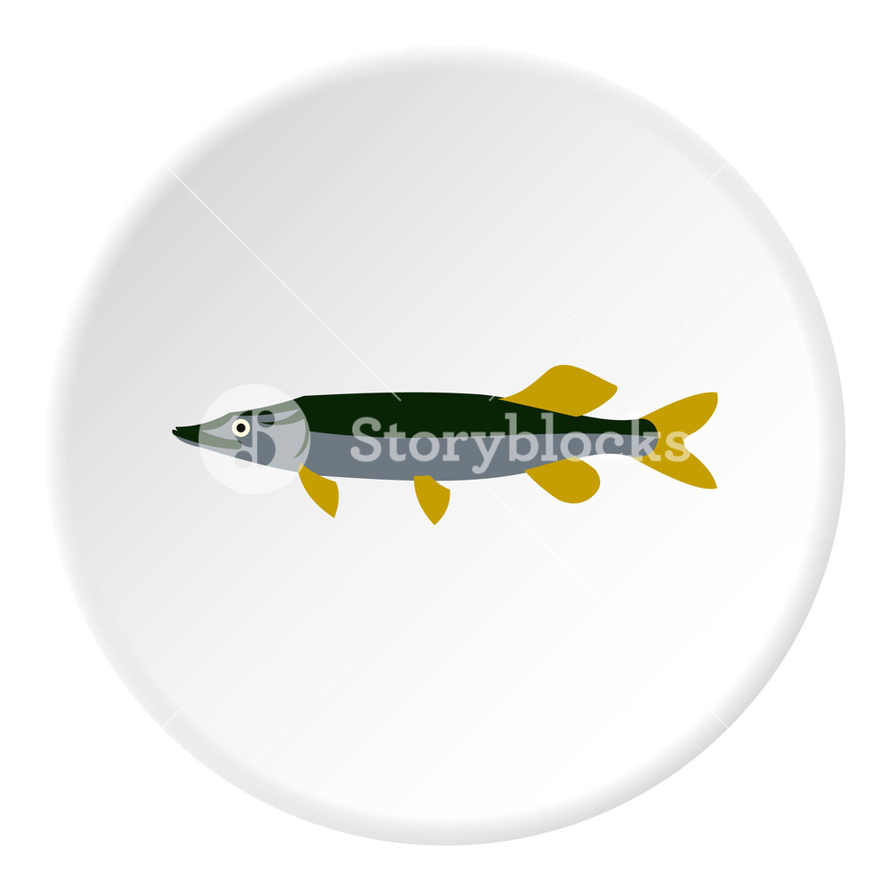 1000x1000 Pike Icon Flat Illustration Of Pike Vector Icon For Web Royalty