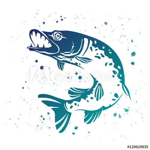 500x500 Predatory Pike Vector Illustration