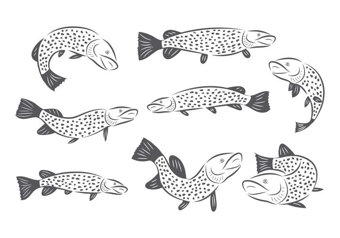 700x490 Free Pike Vector Free Graphics Uihere